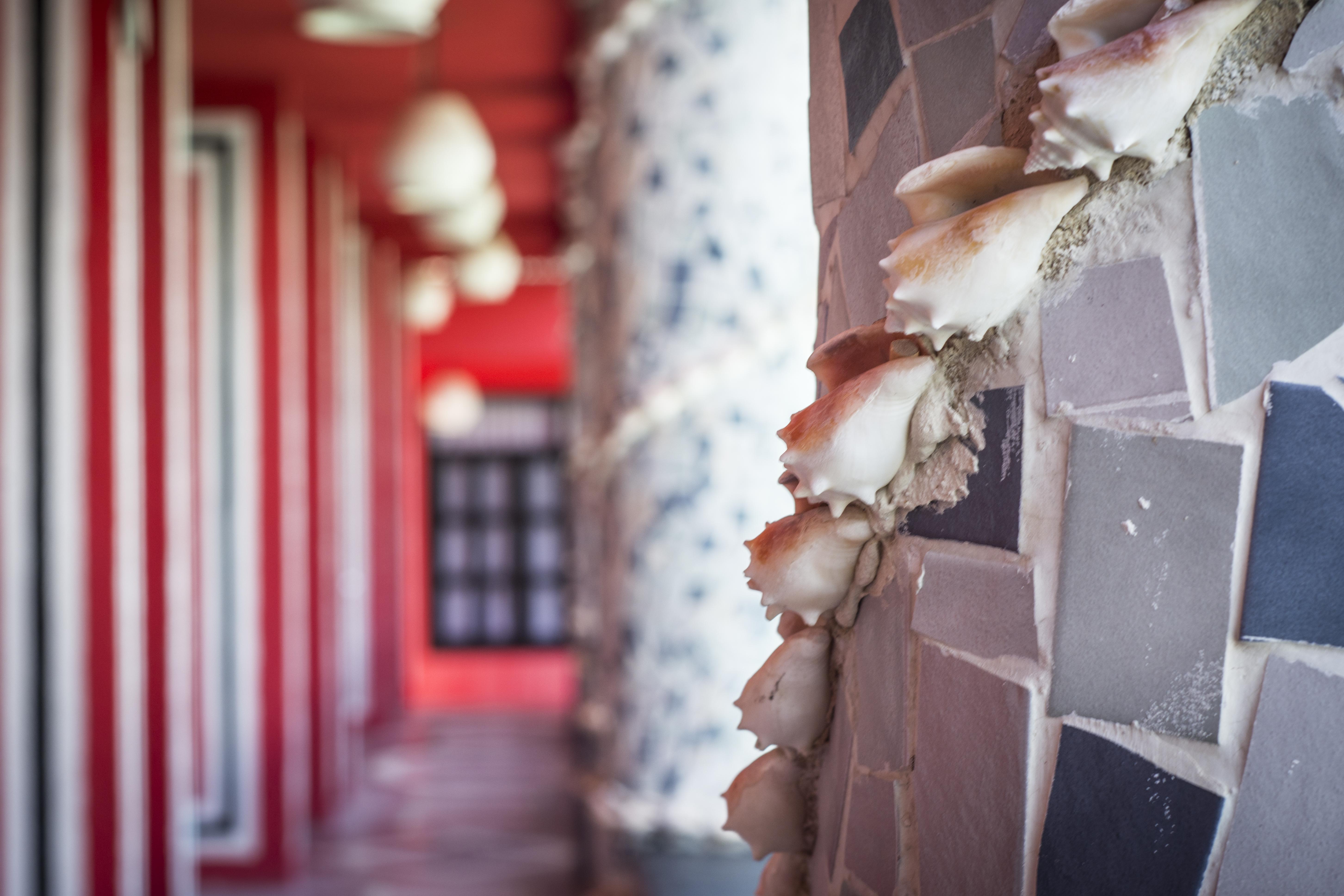 Maya Del Mar On Fifth Avenue Playa del Carmen Eksteriør billede
